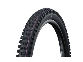 SCHWALBE Radial Tacky Chan 29" x 2.5" Gravity Pro UltraSoft