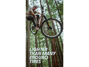 SCHWALBE Romy Trail TLR Mid MTB Tyre (Folding) 29 x 2.40" 29 x 2.40" click to zoom image