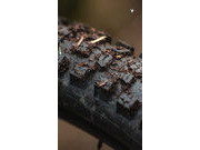 SCHWALBE Romy Trail TLR Mid MTB Tyre (Folding) 29 x 2.40" 29 x 2.40" click to zoom image