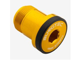 BURGTEC T-Type Derailleur Bolt 1 in Bullion Gold