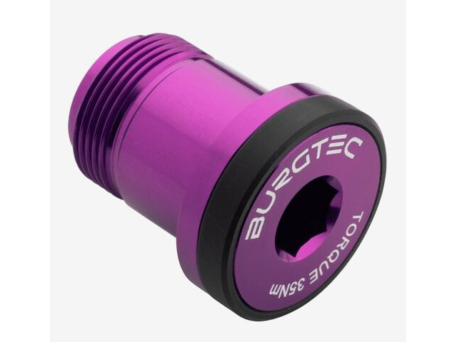 BURGTEC T-Type Derailleur Bolt 1 in Purple Rain click to zoom image