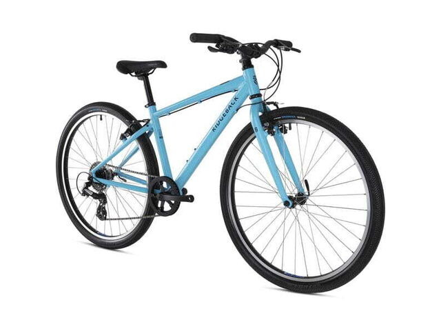 Ridgeback dimension best sale 20 blue