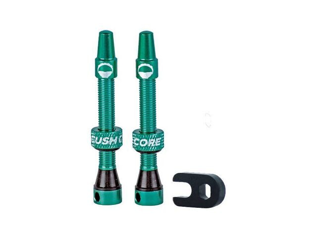 CushCore Tubeless Valves 44mm click to zoom image