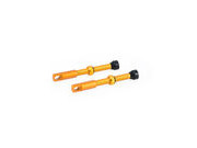 OXFORD Tubeless Alloy Valve with Valve Core Remover  Gold  click to zoom image