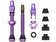 WOLFTOOTH Clik Valve Tubeless Valves in Purple 44mm 
