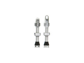 HOPE Tubeless Valve Pair 40mm in Silver