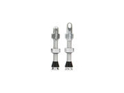 HOPE Tubeless Valve Pair 40mm in Silver 