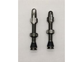 HOPE Tubeless Valve Pair 40mm in Smoke